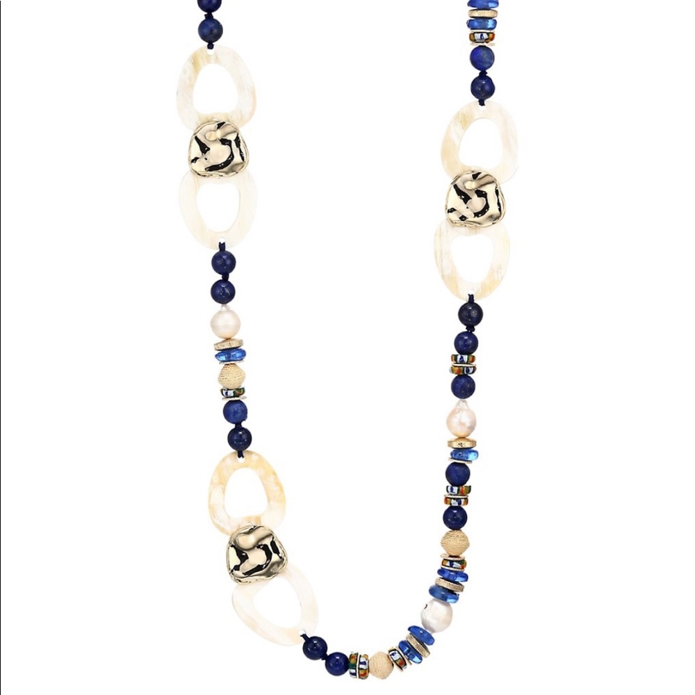 Akola
Mixed Gemstone Beads & Horn Link Long Necklace